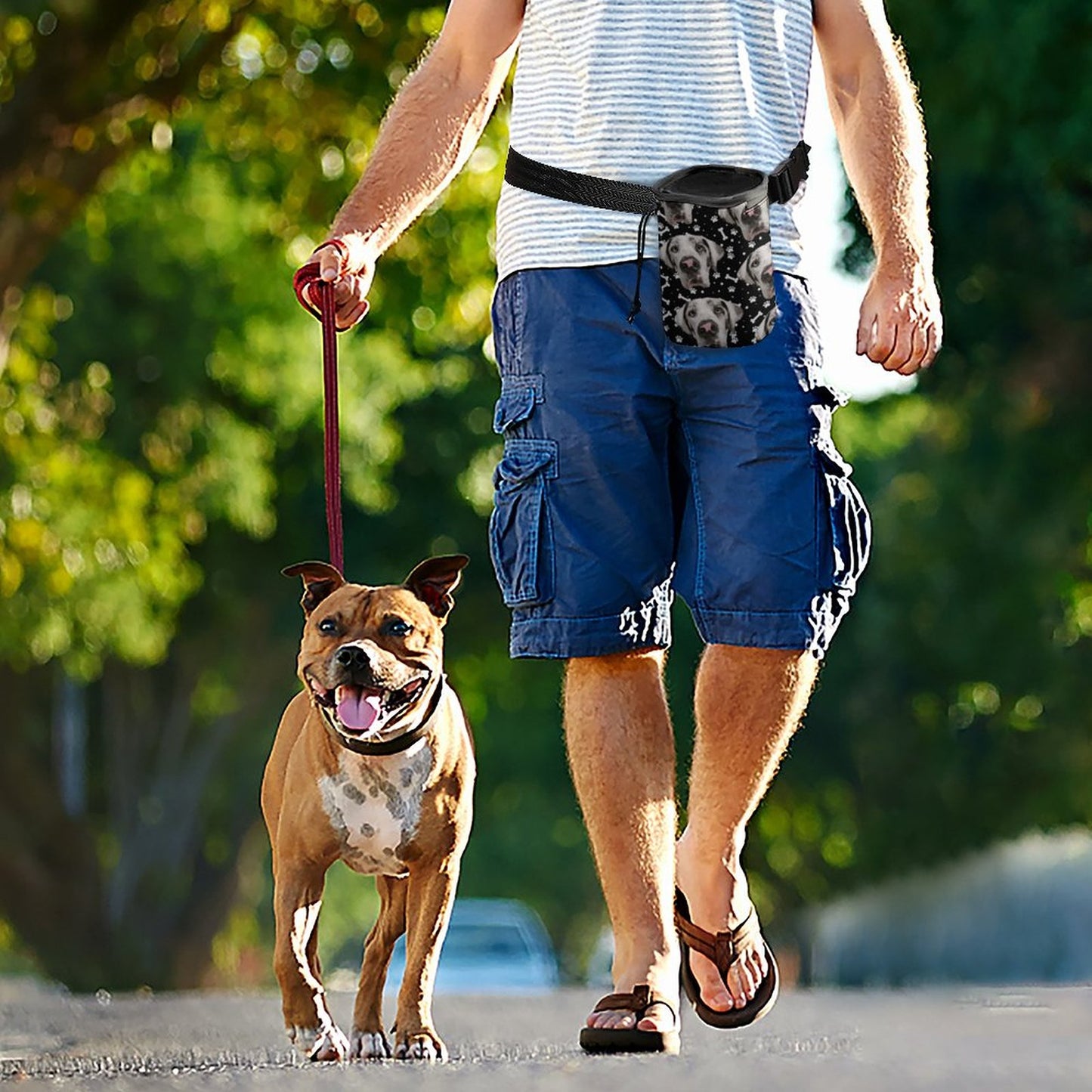 Dog Treat Training Bags FACE w PAWS-n-BONES