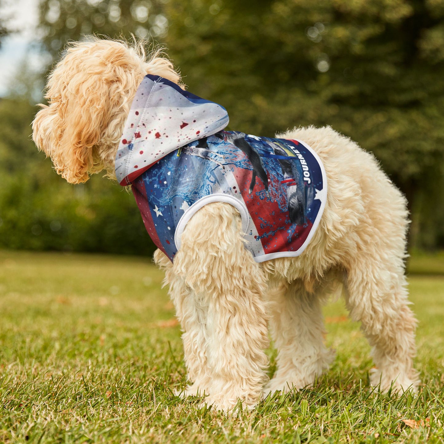 VENTURE JOURNEY Pet Hoodie