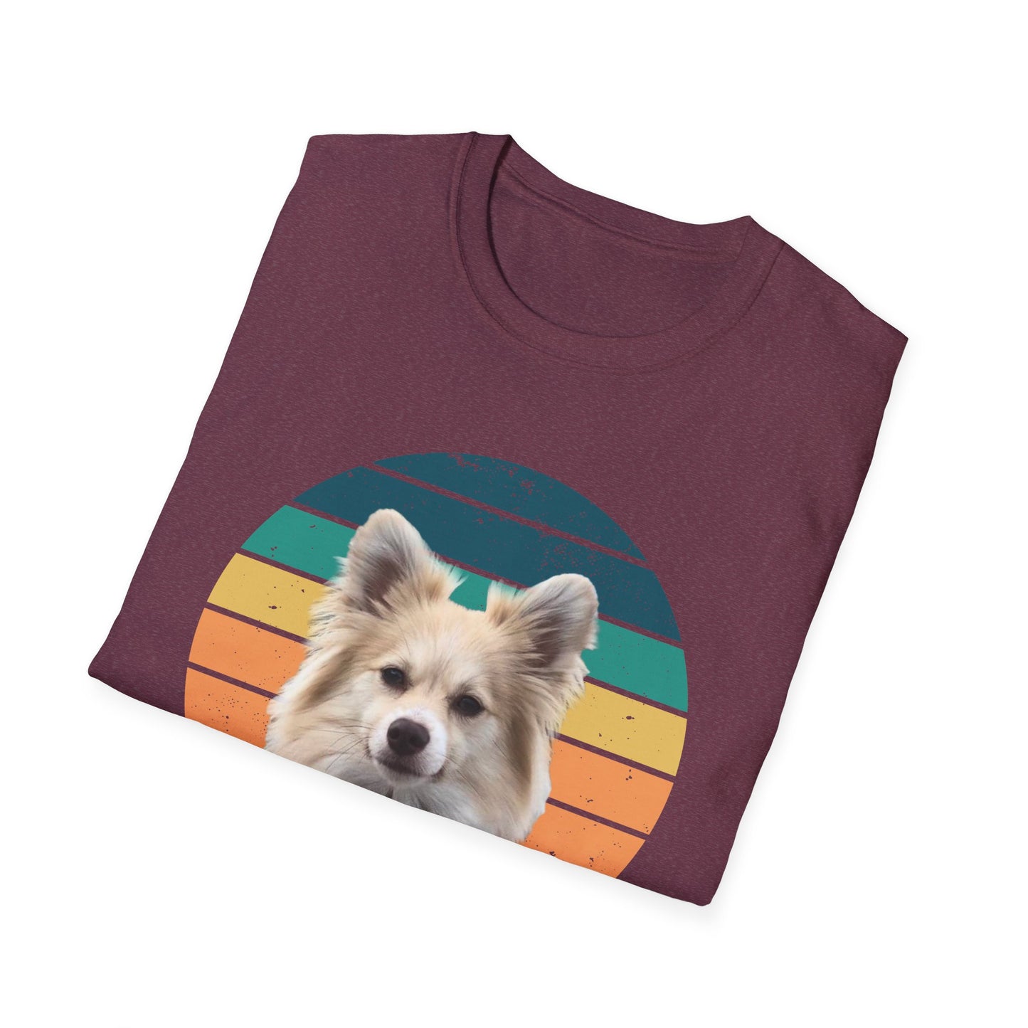 RETRO SUNSET DEXTER Unisex Softstyle T-Shirt