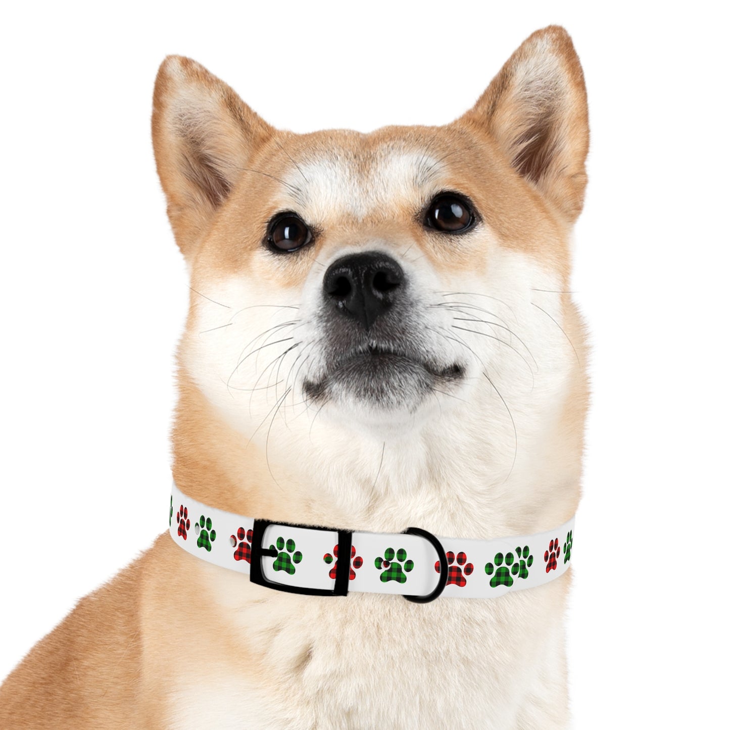HOLIDAY PLAID PAWS Dog Collar