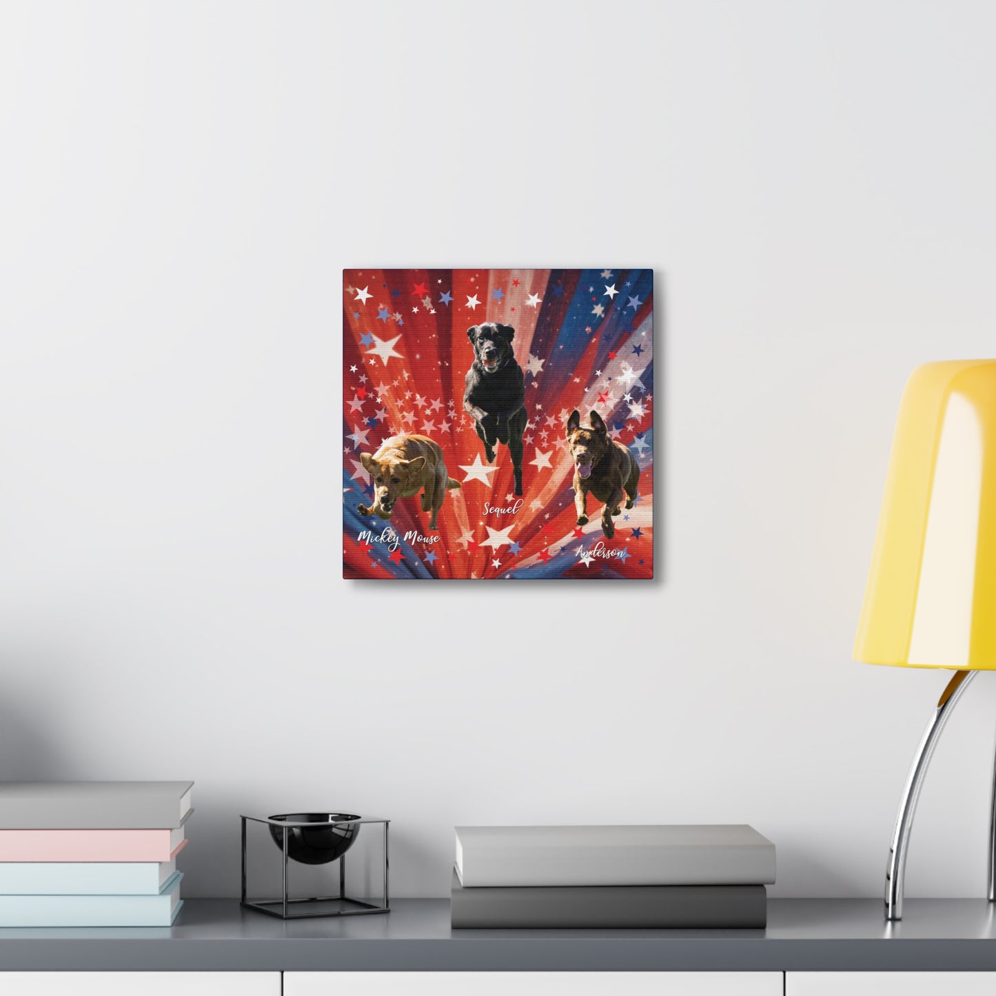 ANDERSON & FRIENDS Canvas Gallery Wraps