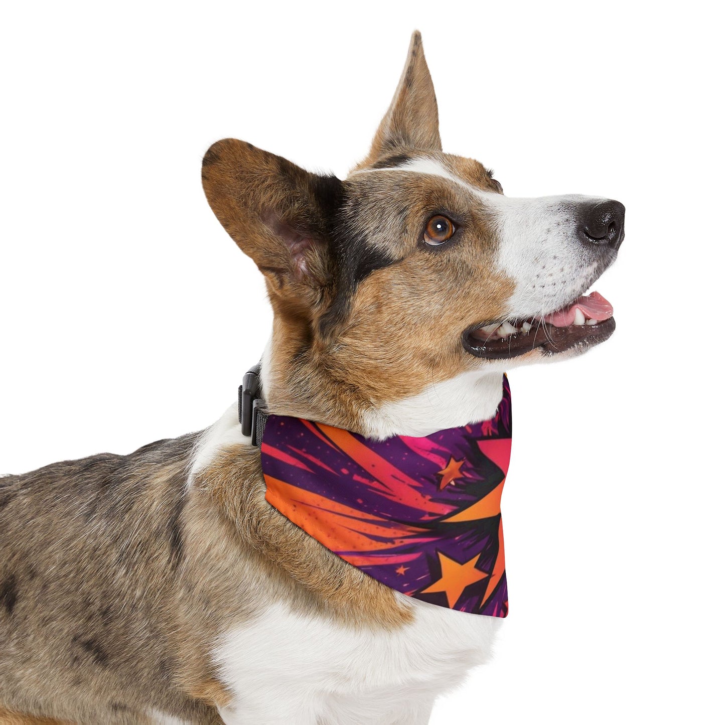 PINK ORANGE STAR Pet Bandana Collar
