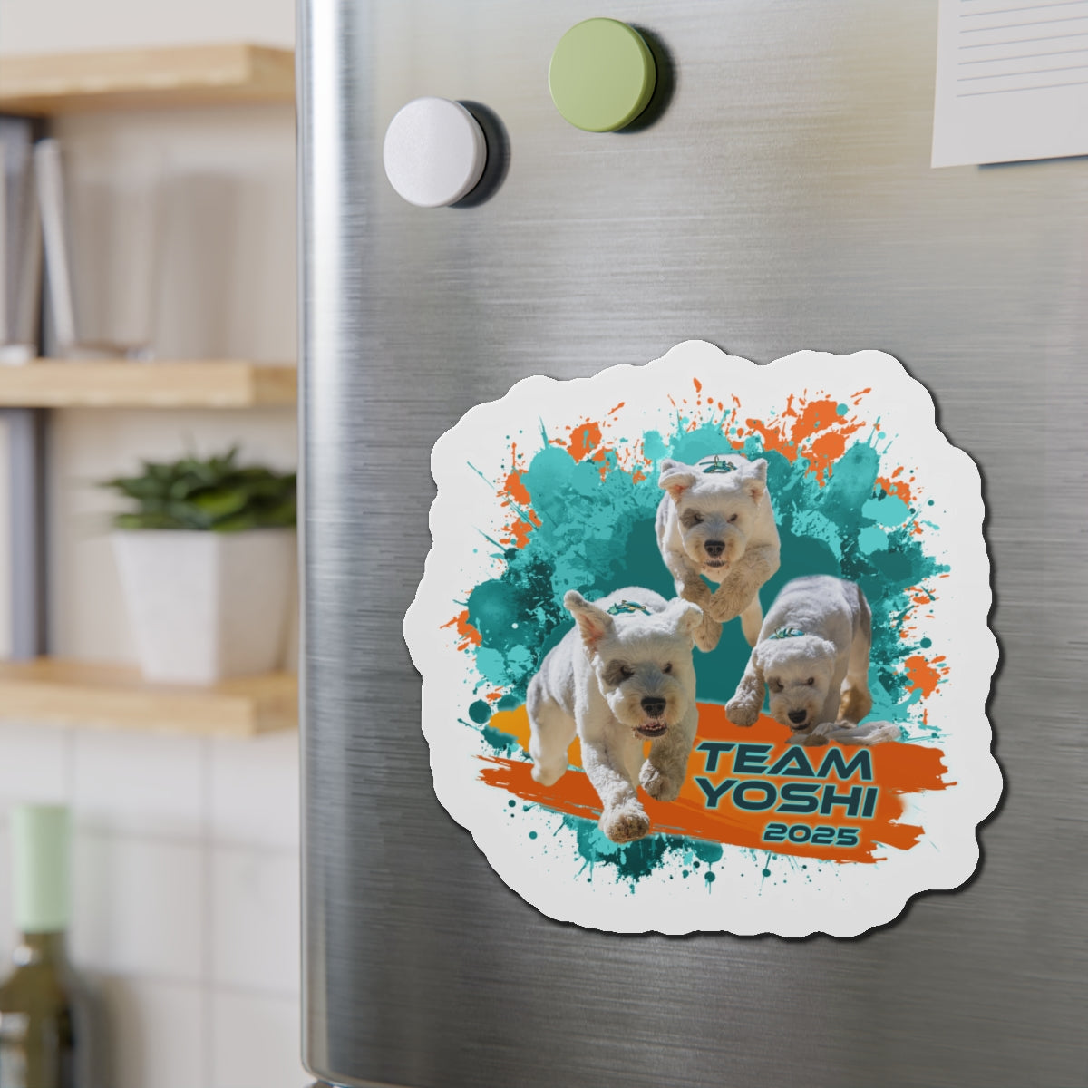 Y O S H I Magnets