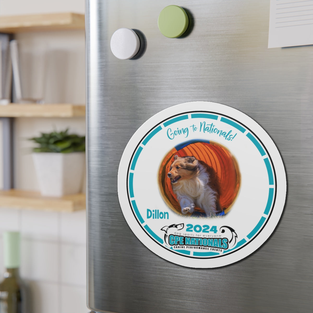 DILLON - CPE NATIONALS CUSTOM Die-Cut Magnets