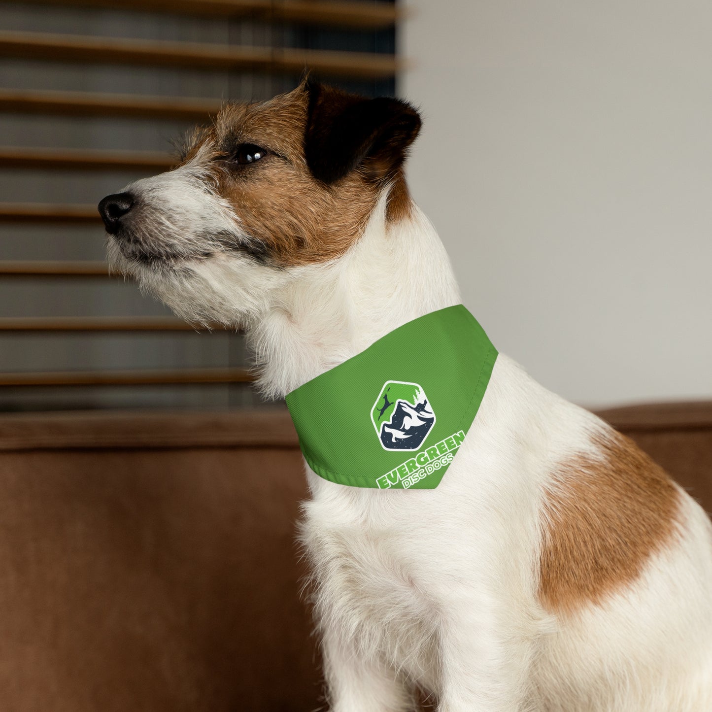 EVERGREEN DISC DOGS Bandana Collar