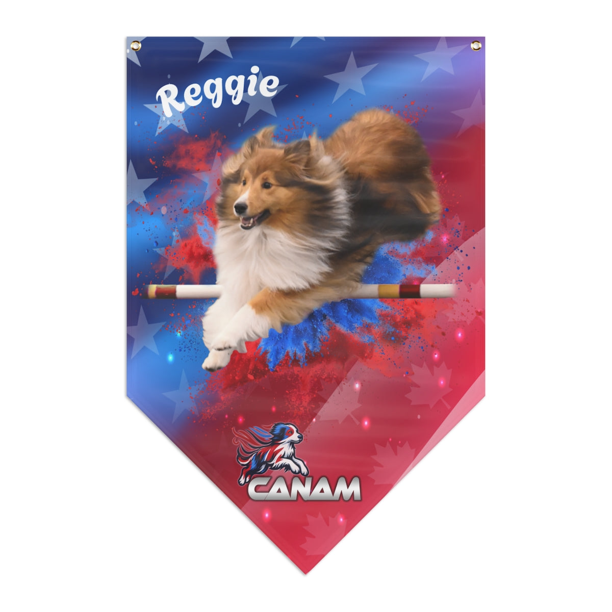 CAN-AM PENNANT BANNER - CUSTOM