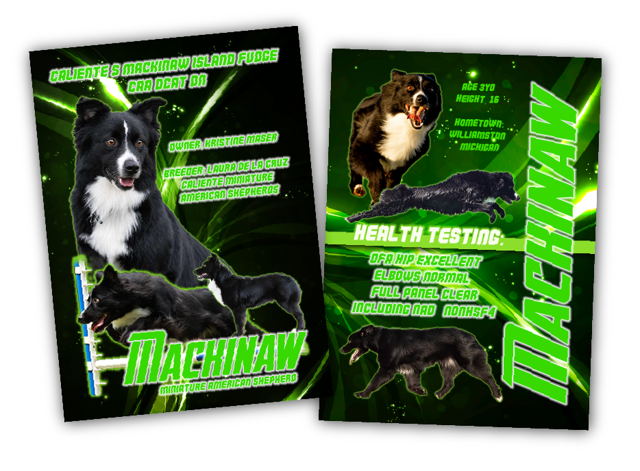 ALL CUSTOM TRADING CARDS - mascusa