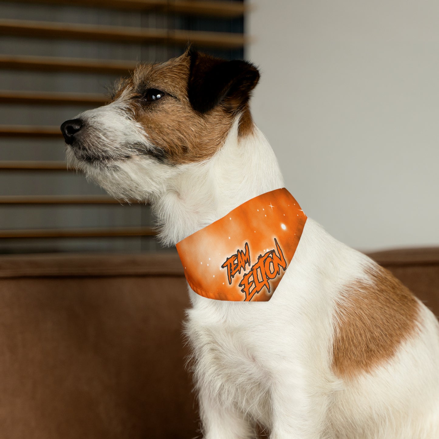 TEAM ELTON Bandana Collar