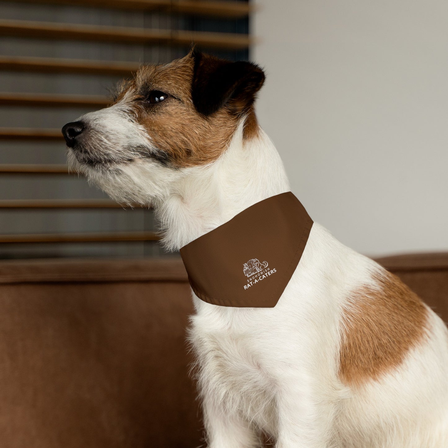 RAT-A-CATCHERS Pet Bandana Collar