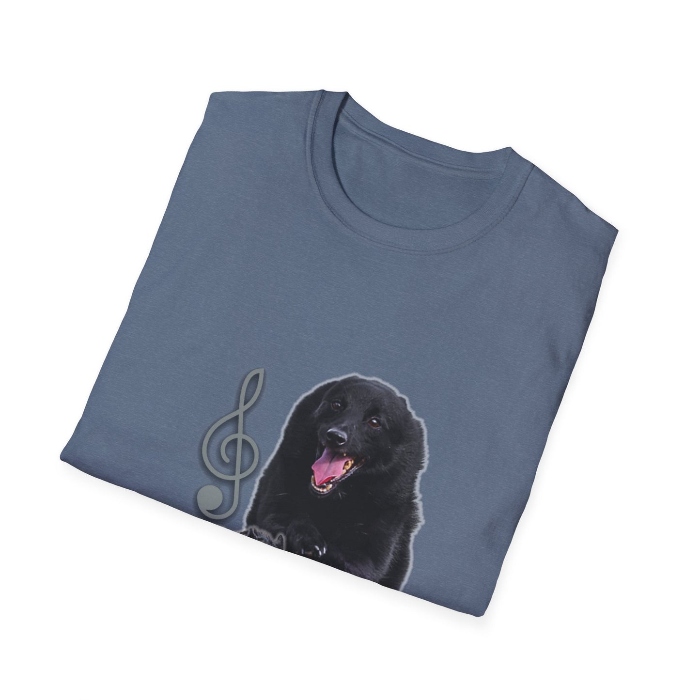 DUSTER Unisex Softstyle T-Shirt