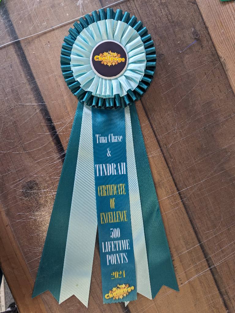 Photo Ribbons - Custom