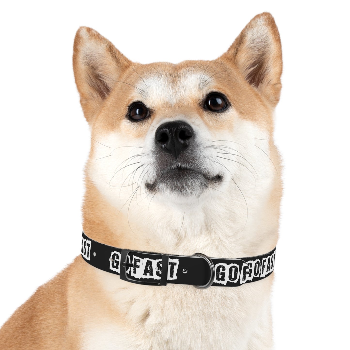 GO FAST Dog Collar