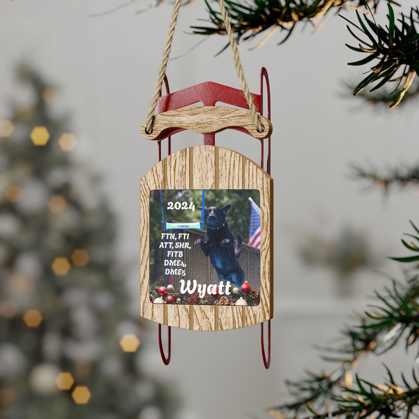 Wyatt Sled Ornaments