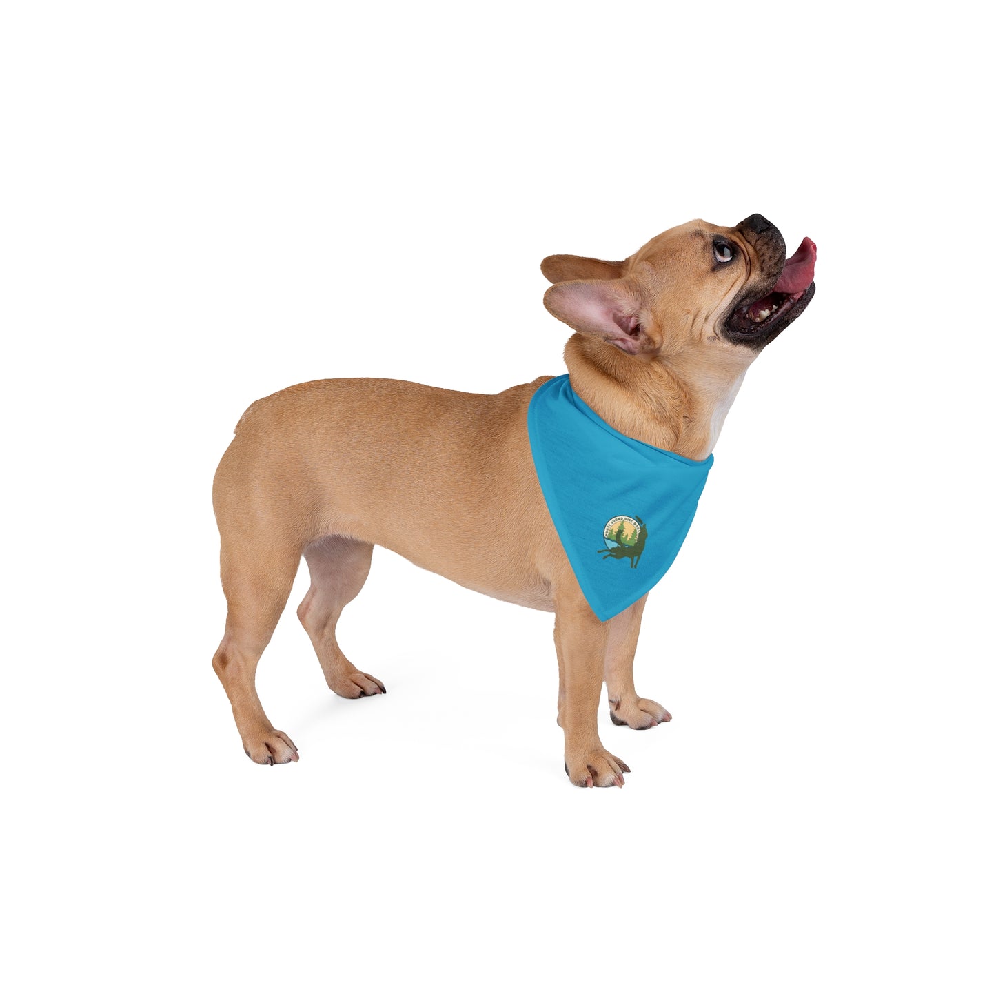 Puget Sound Disc Dogs Pet Bandana