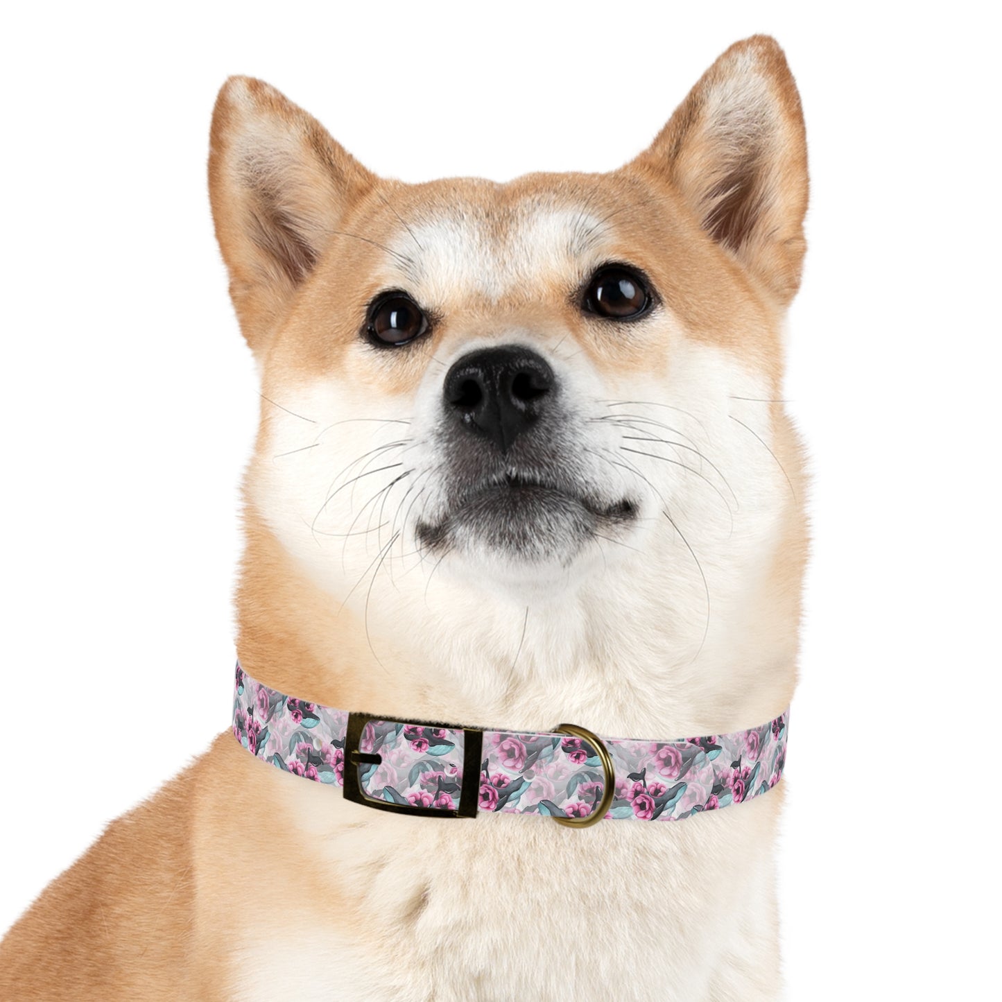FLORAL ORCA Dog Collar