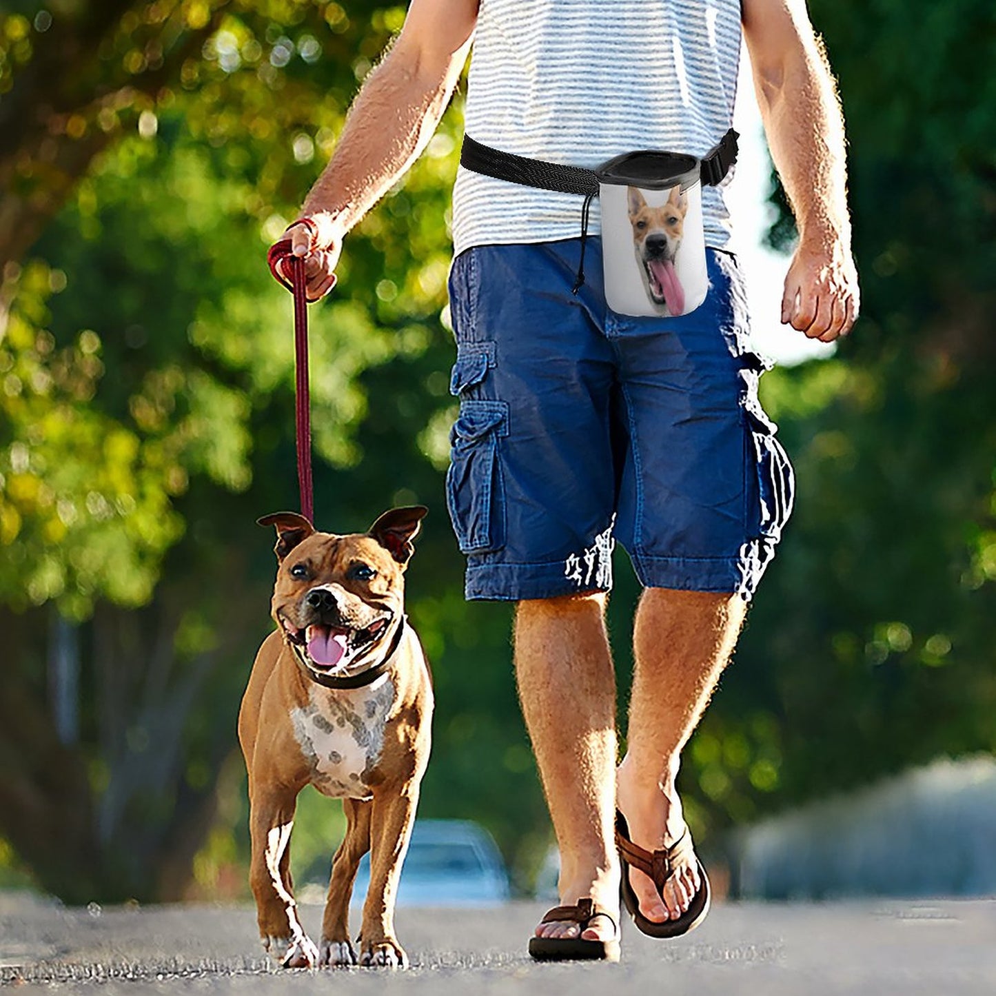 QUILL FACE - Dog Treat Training Bag