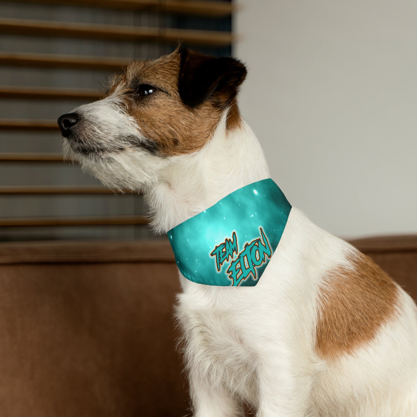 Copy of TEAM ELTON Bandana Collar