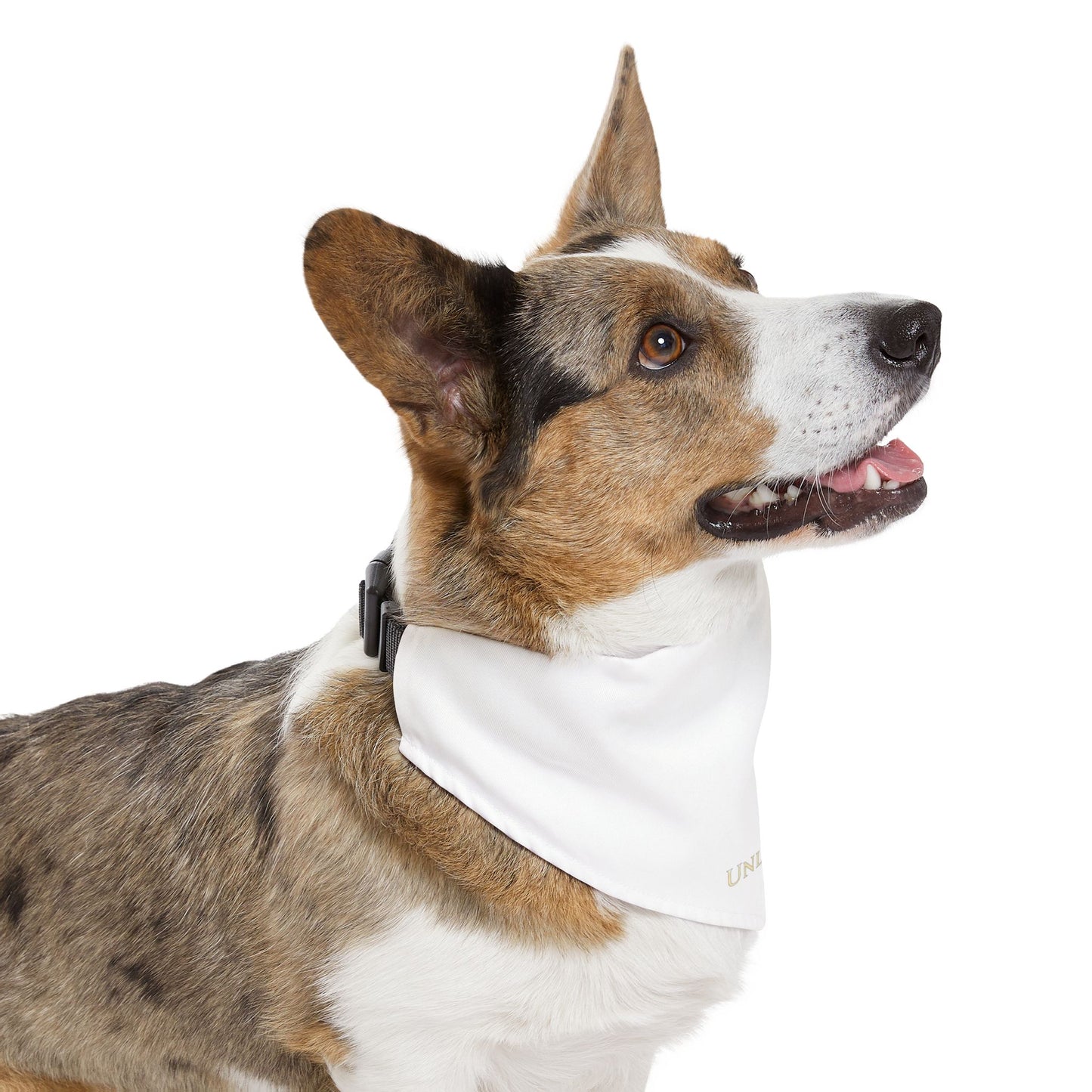 *UNLEASHED NIAGARA Pet Bandana Collar