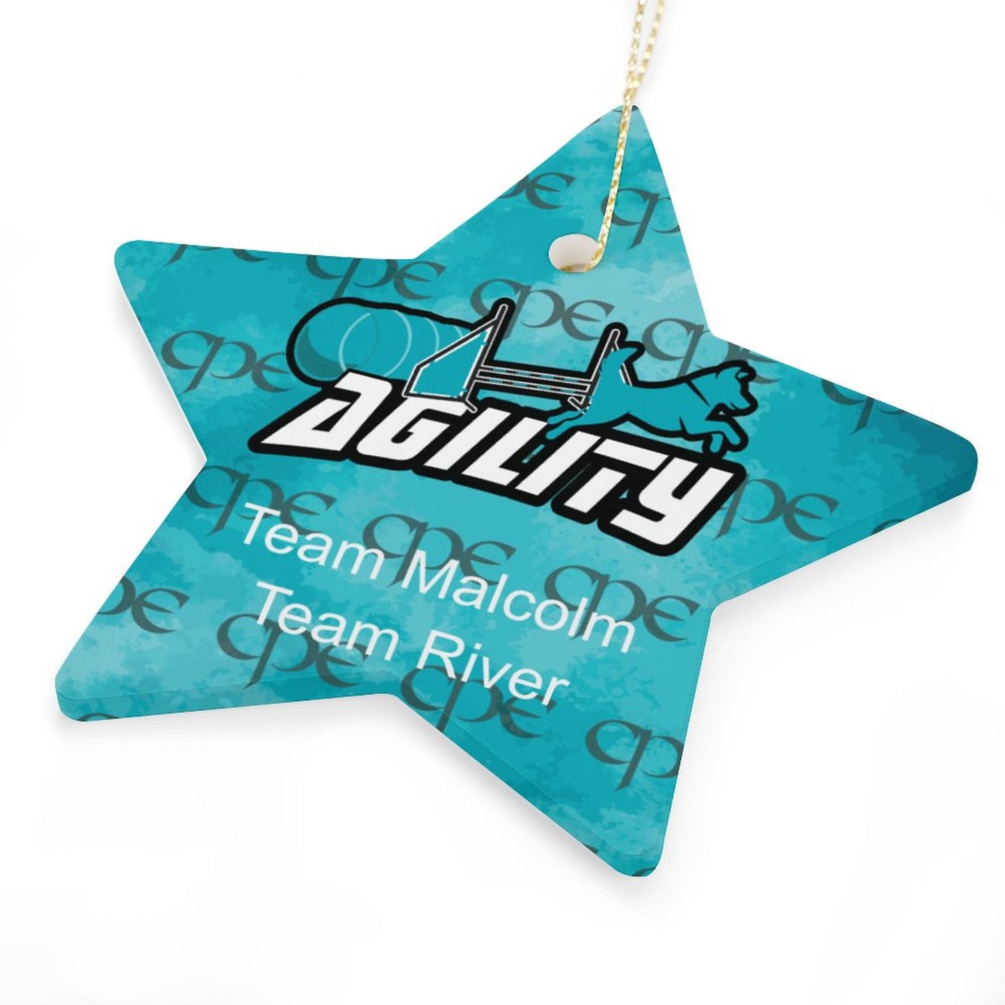 Star Ornament - Team Malcolm / Team River