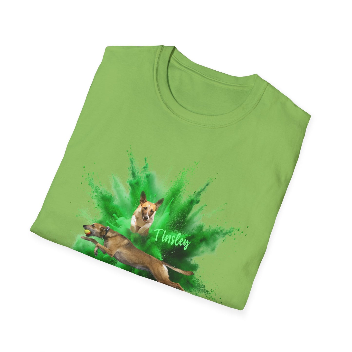 Bristol and Tinsley ALAMO Unisex Softstyle T-Shirt