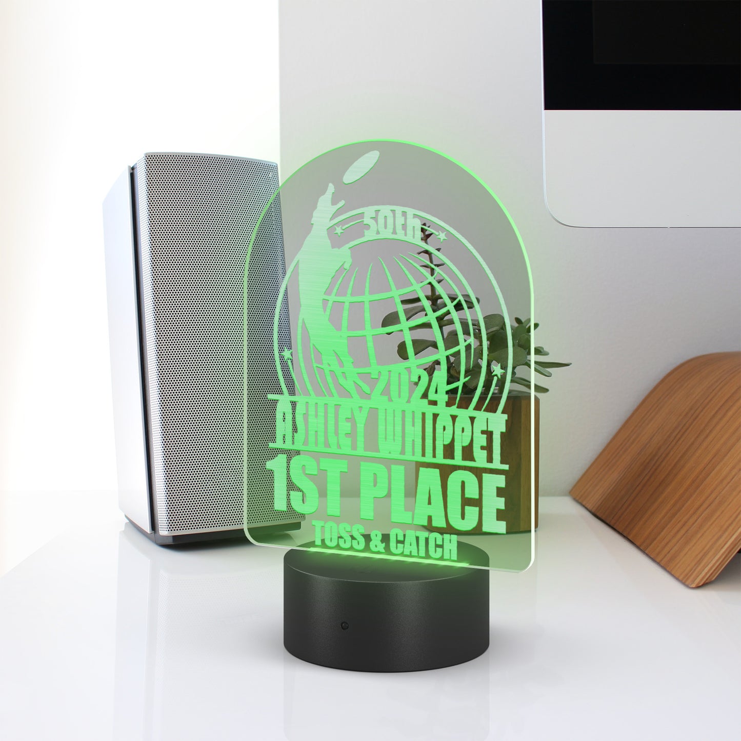 ASHLEY WHIPPET - SAMPLE AWARD LIGHT UP