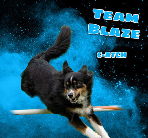 CPE NATIONALS CUSTOM MINI BANNER