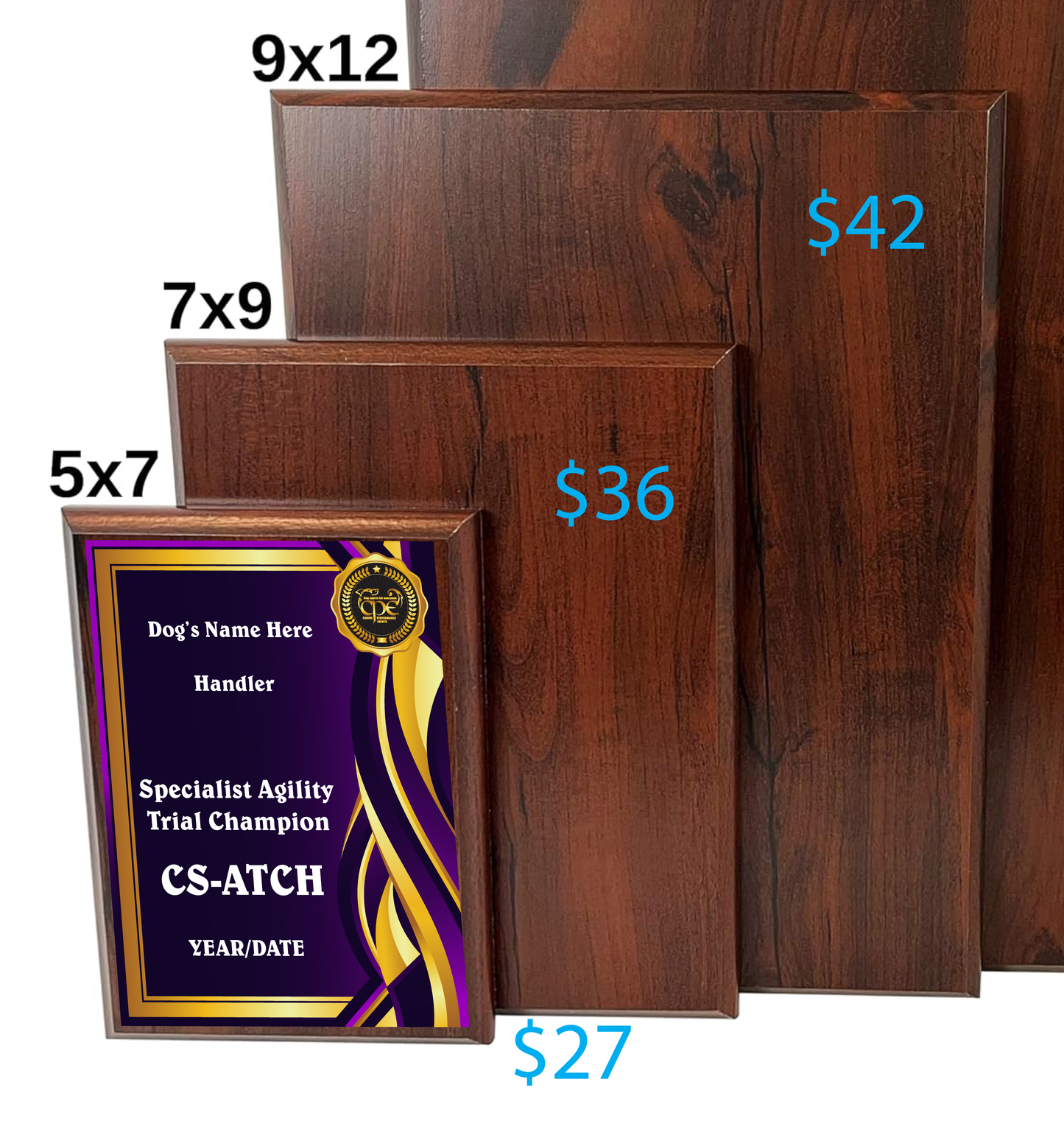 CUSTOM AWARD PLAQUES