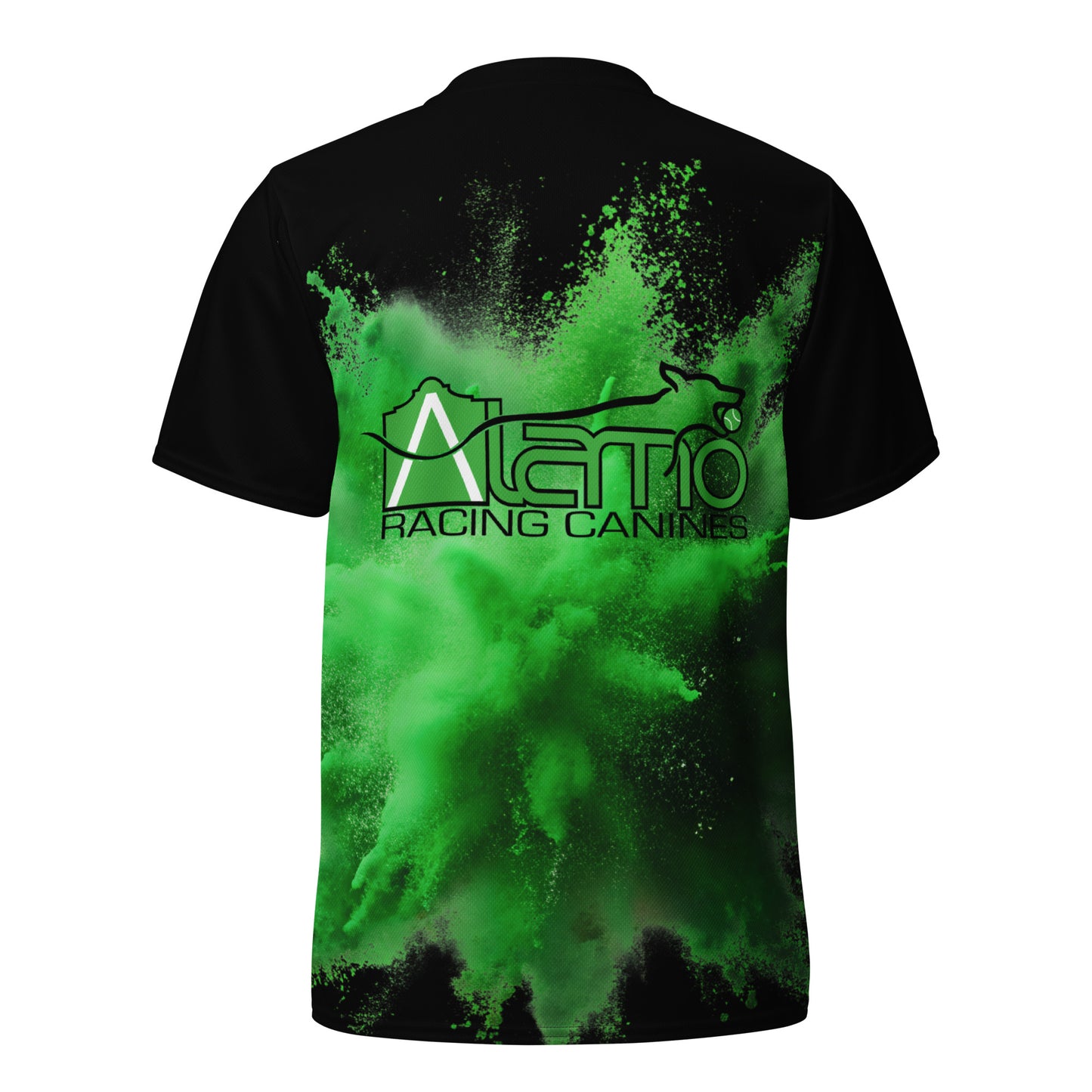 Isa Unisex sports jersey