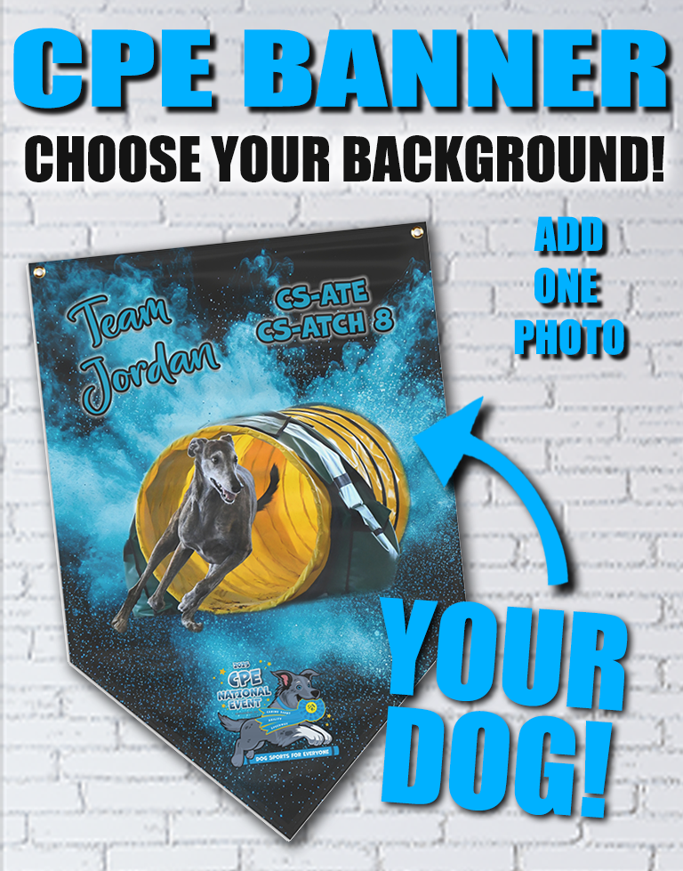 CPE NATIONALS PENNANT BANNER - CUSTOM