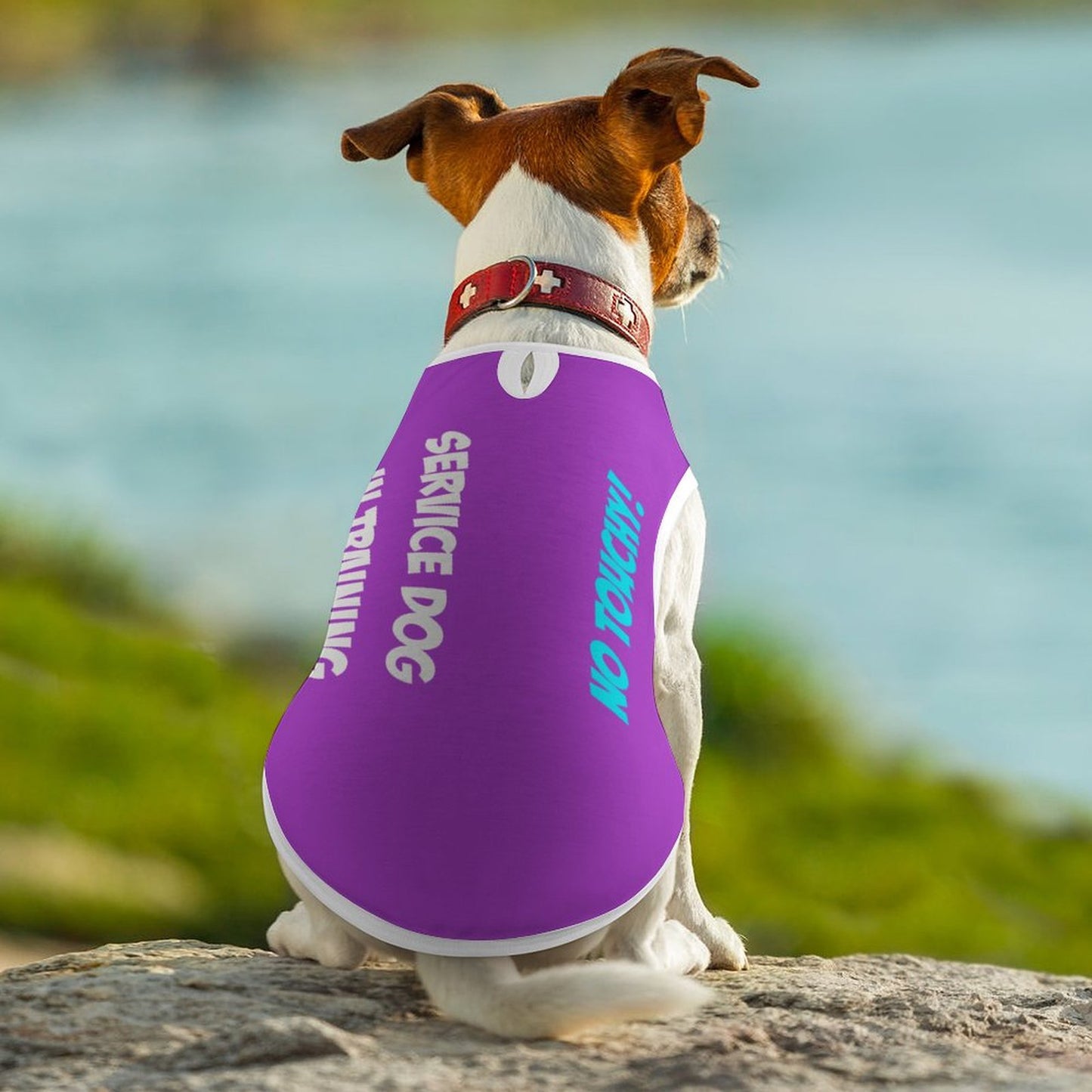 **Custom Dog Vests-Fully Printed Mesh Pet Tank Tops