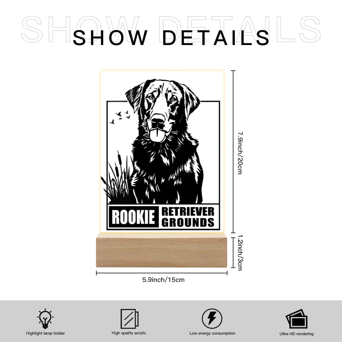 Solid Wood Acrylic Lamp|Plastic Rookie-retriever