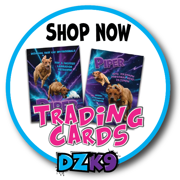 TRADING CARDS