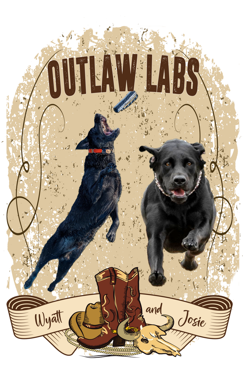 OUTLAW LABS