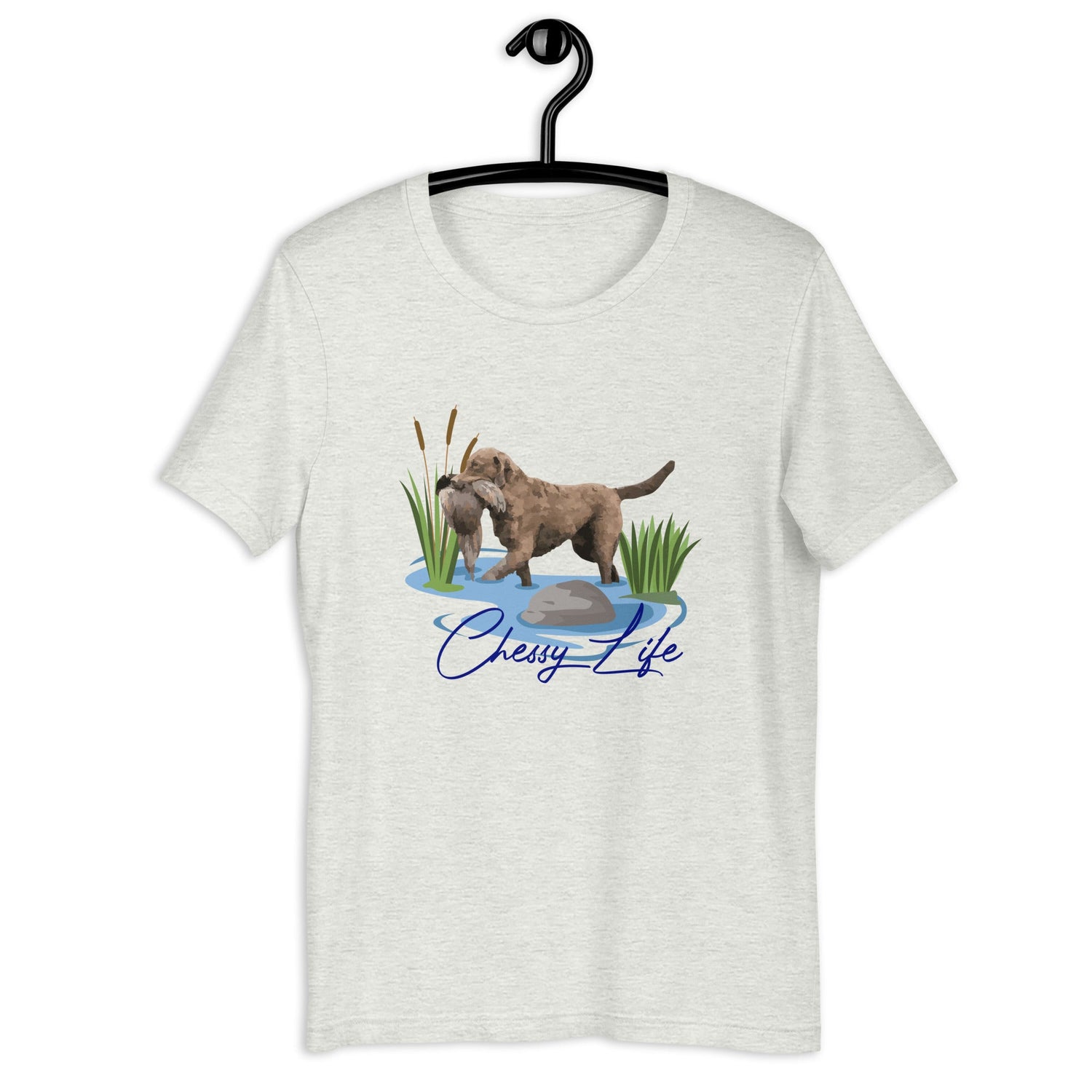 Chesapeake Bay Retriever