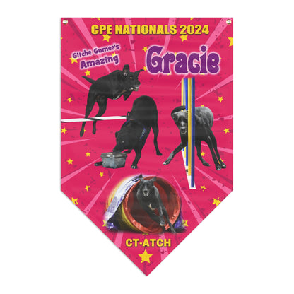 TEAM GRACIE Pennant Banner