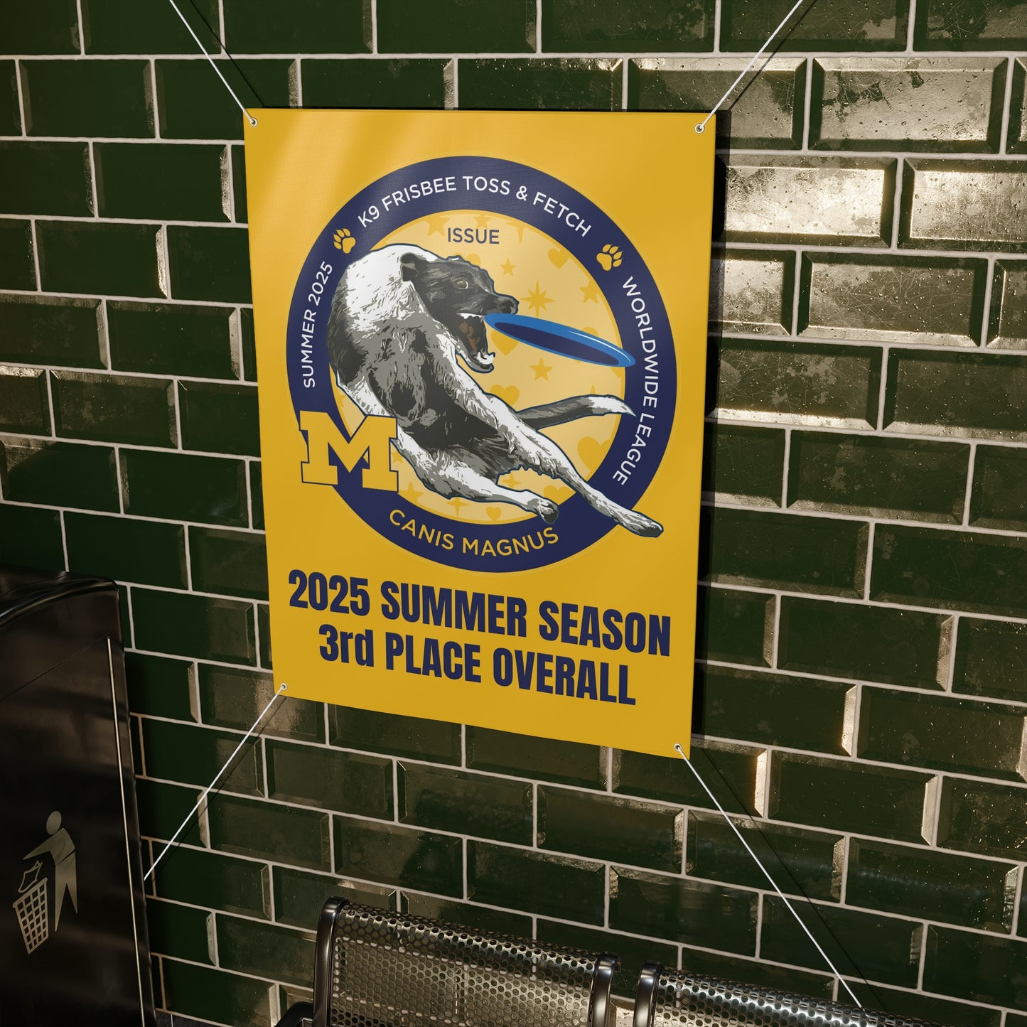 TOSS N CATCH SUMMER 2025   Banner