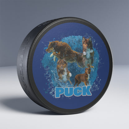 PUCK Hockey Puck