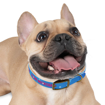 MONTANA NADD Dog Collar