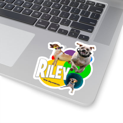 RILEY STICKER