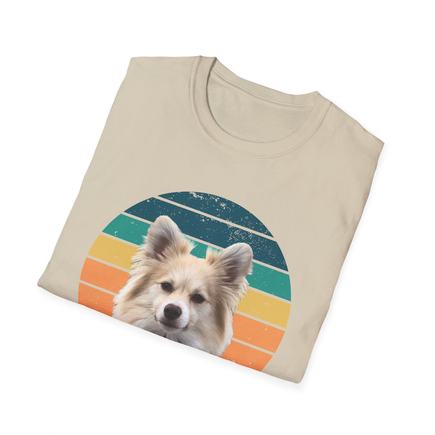 RETRO SUNSET DEXTER Unisex Softstyle T-Shirt