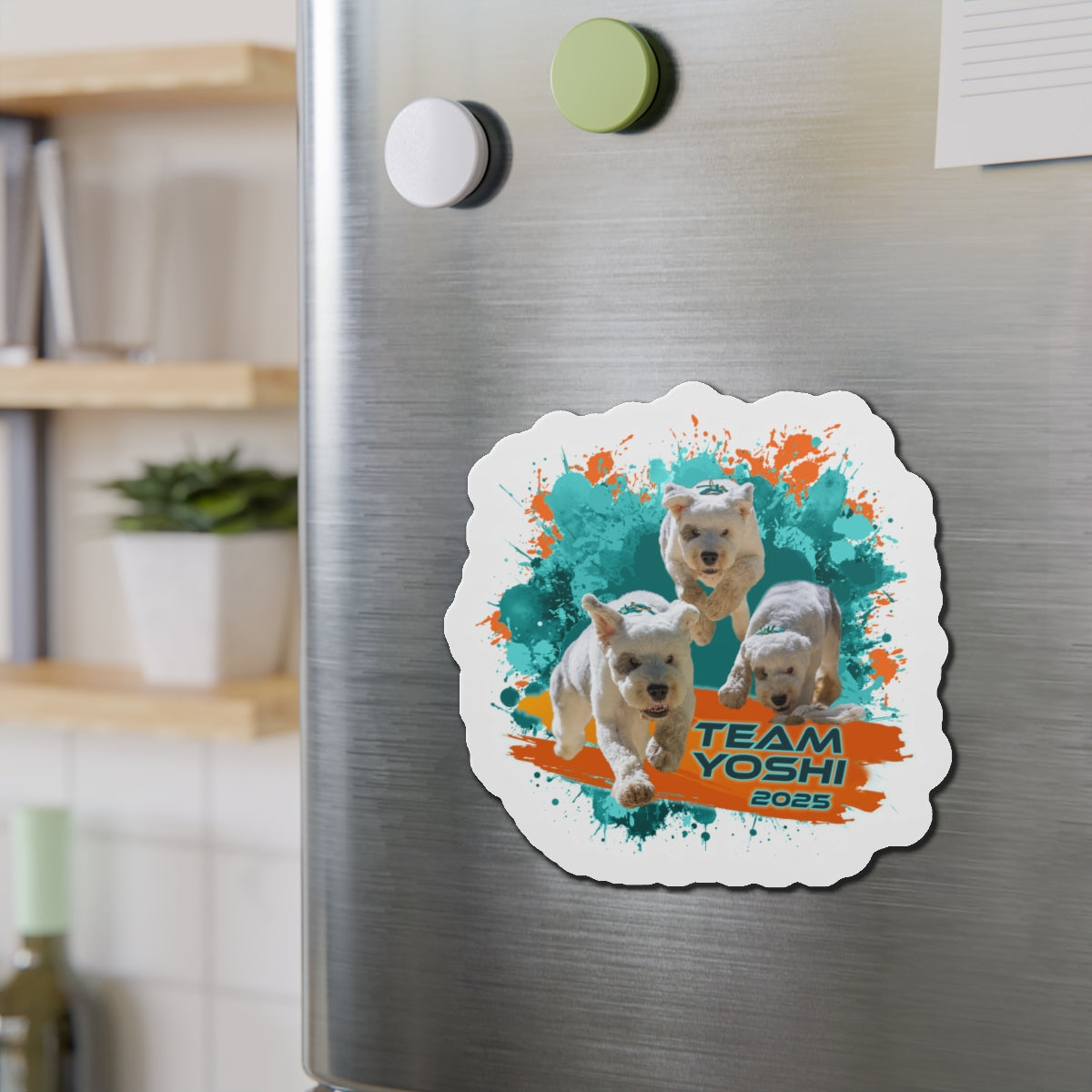 Y O S H I  Magnets