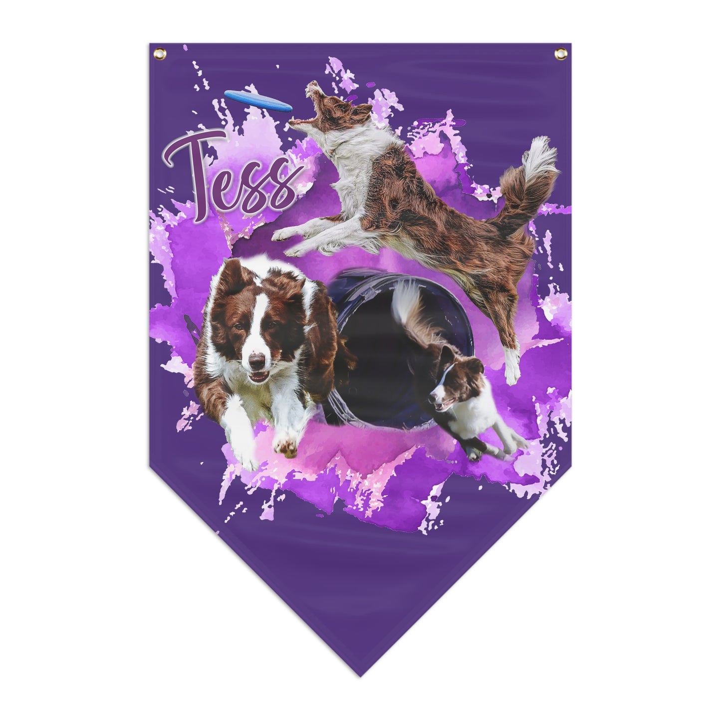 TESS Pennant Banner