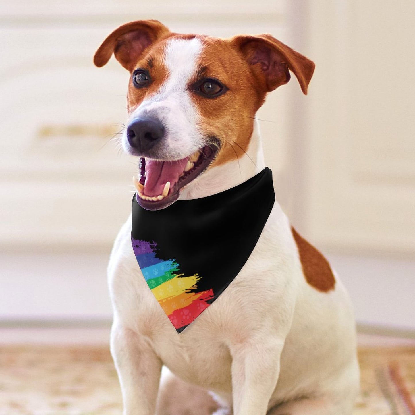 RAINBOW PAWS Dog bandana