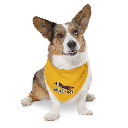 GOLD *AKC AGILITY LEAGUE Pet Bandana Collar