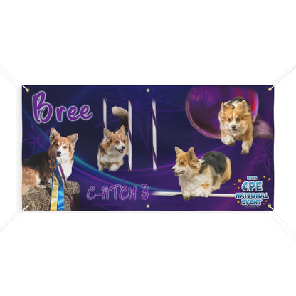 BREE CPE Matte Banner