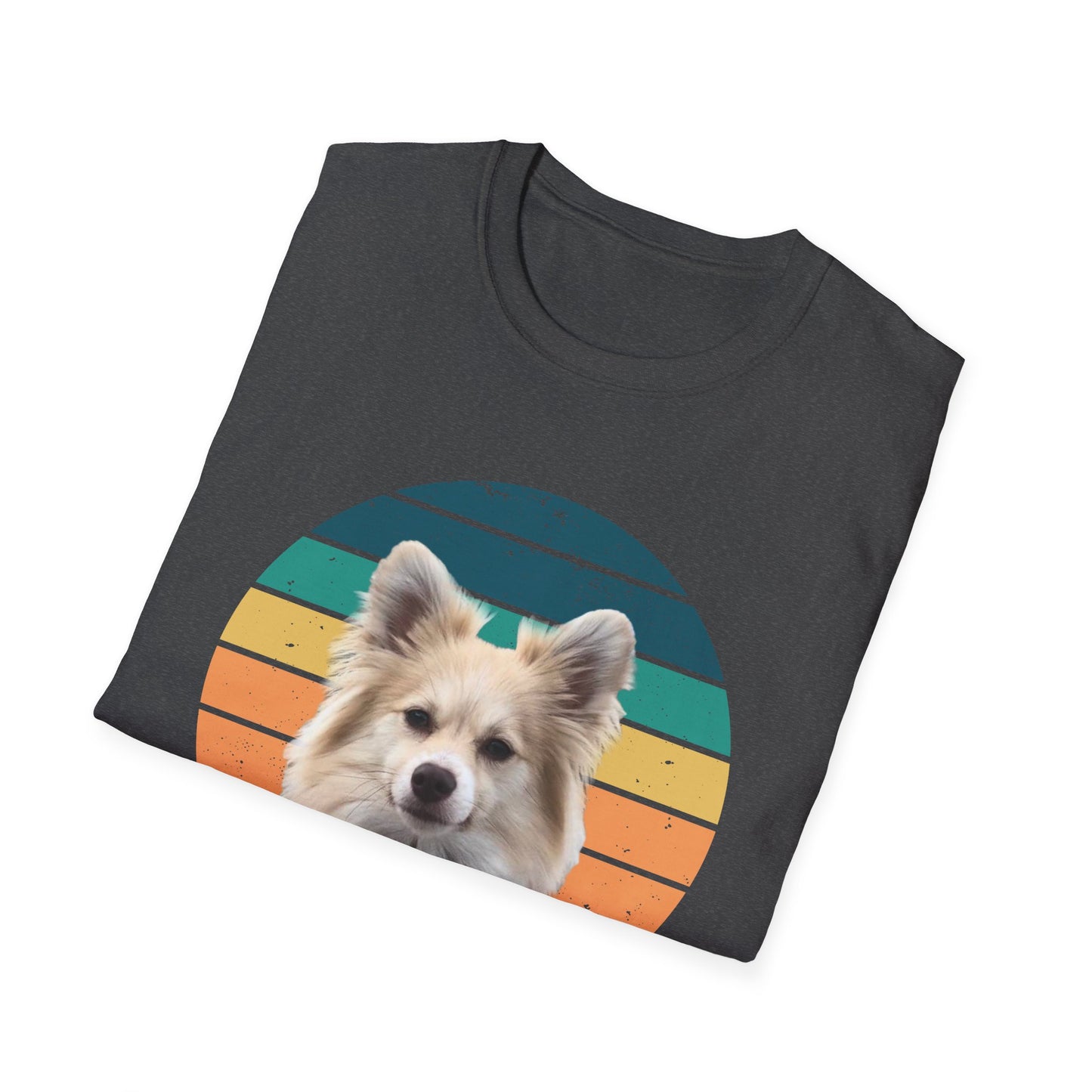 RETRO SUNSET DEXTER Unisex Softstyle T-Shirt