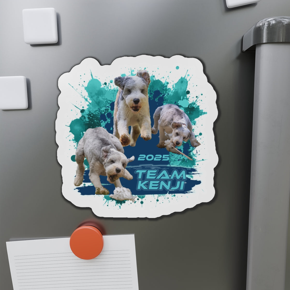 KENJI  Magnets