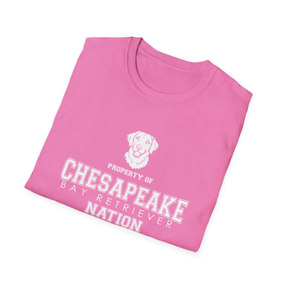 Chesapeake NATION Unisex Softstyle T-Shirt