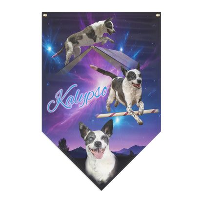 Kalypso Pennant Banner