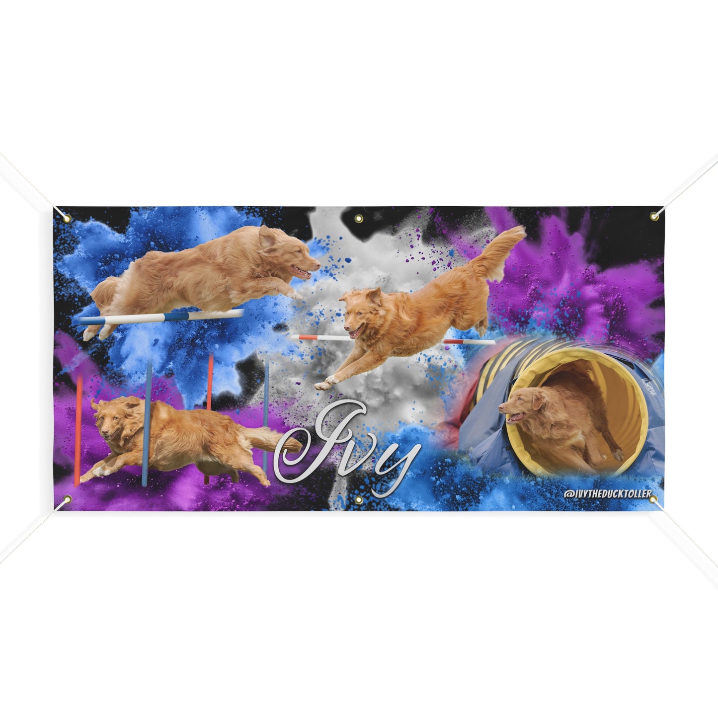 IVY - Agility Matte Banner
